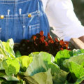 Clean Air Solutions: Dr Bill Releford, Holistic Agriculture Leader, and His Vision for Healthier Homes