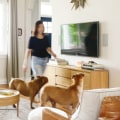 HVAC Home Air Filter Replacement: Your Path to the Finest Clean Air at Home