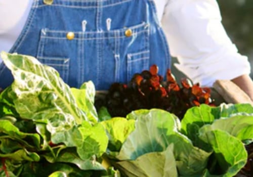 Clean Air Solutions: Dr Bill Releford, Holistic Agriculture Leader, and His Vision for Healthier Homes